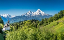 刘天永:对逃税罪理解不当导致承担刑事责任案